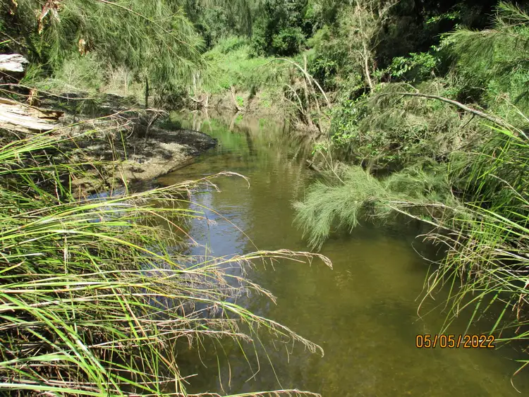 Fourth view of Homely rural property listing, 1782 Kandanga Creek Road, Upper Kandanga QLD 4570
