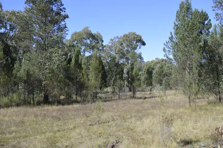 Second view of Homely rural property listing, 551 Box Ridge Road, Binnaway NSW 2395
