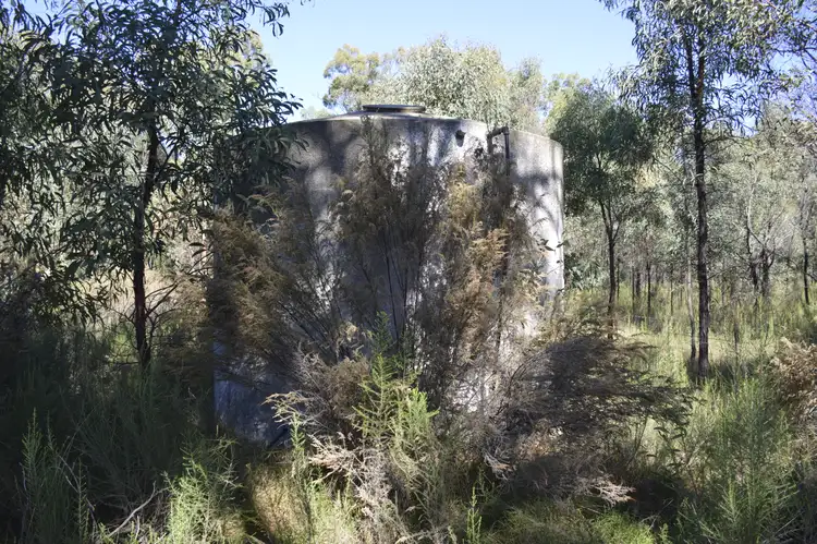 Seventh view of Homely rural property listing, 551 Box Ridge Road, Binnaway NSW 2395