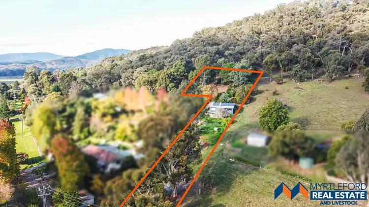 Main view of Homely house listing, 323 Buffalo River Road, Myrtleford VIC 3737
