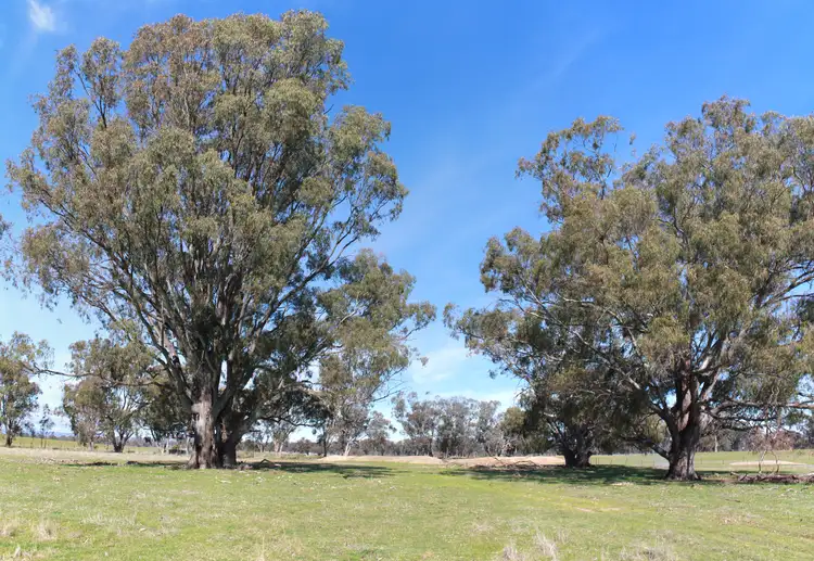 Seventh view of Homely rural property listing, Lot 14 Plozzas Rd, Upotipotpon VIC 3669