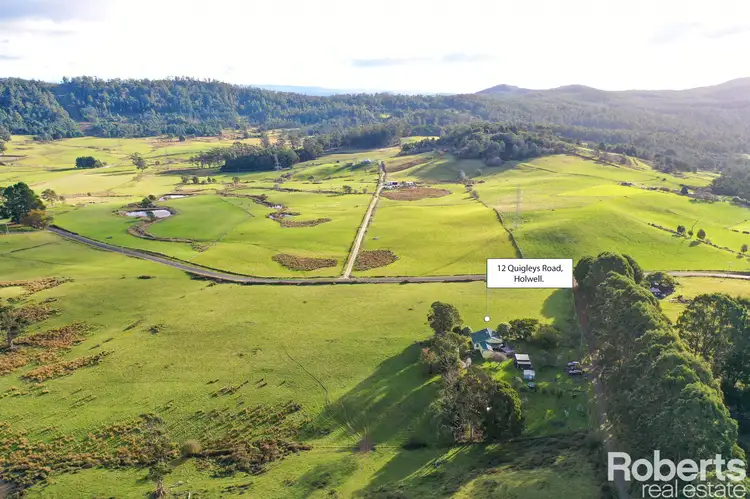 12 Quigleys Road, Holwell TAS 7275