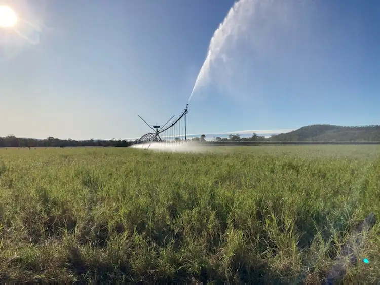 Second view of Homely rural property listing, 2512 Crowsdale Camboon Road, Biloela QLD 4715