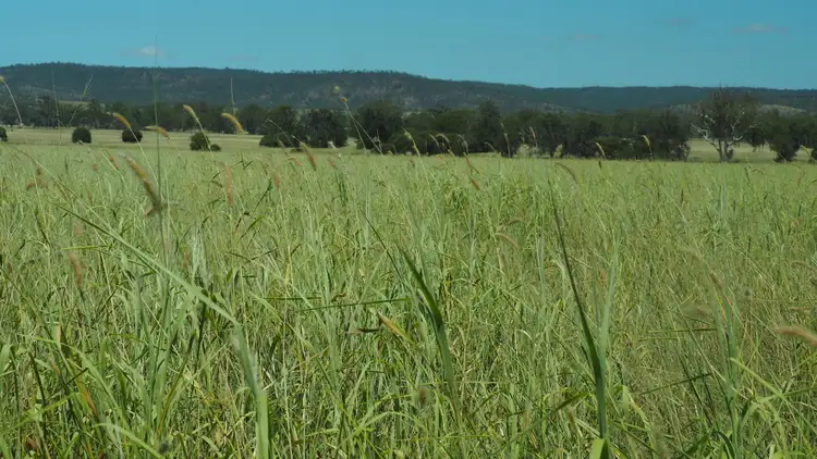 Fifth view of Homely rural property listing, 2512 Crowsdale Camboon Road, Biloela QLD 4715