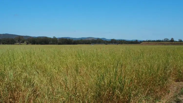 Sixth view of Homely rural property listing, 2512 Crowsdale Camboon Road, Biloela QLD 4715