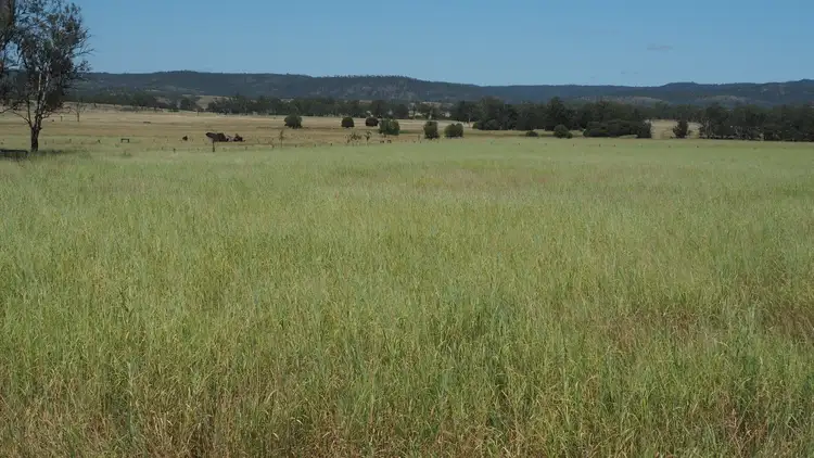 Seventh view of Homely rural property listing, 2512 Crowsdale Camboon Road, Biloela QLD 4715