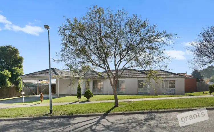 19 Bellevue Drive, Berwick VIC 3806