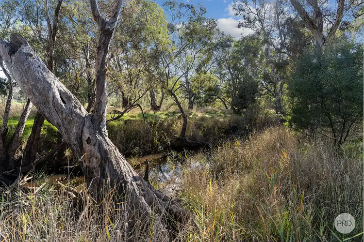 Fifth view of Homely land listing, 171 Axedale-Goornong Road, Axedale VIC 3551