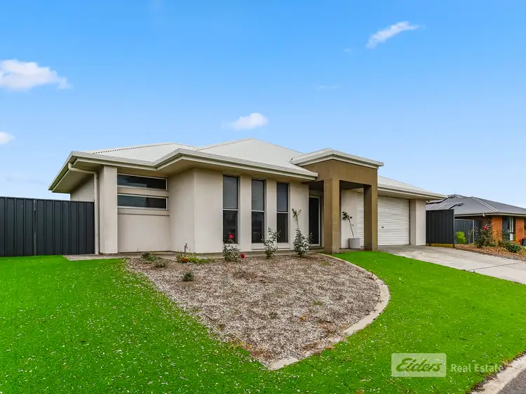 Main view of Homely house listing, 137 Mount Gambier Road, Millicent SA 5280
