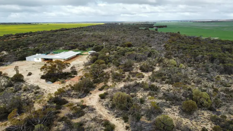Second view of Homely rural property listing, 1012 Ivey Road, South Bodallin WA 6424