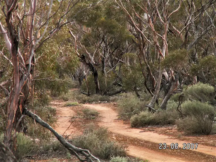 Fifth view of Homely rural property listing, Lot 1 Swallows Nest Road, Cowell SA 5602