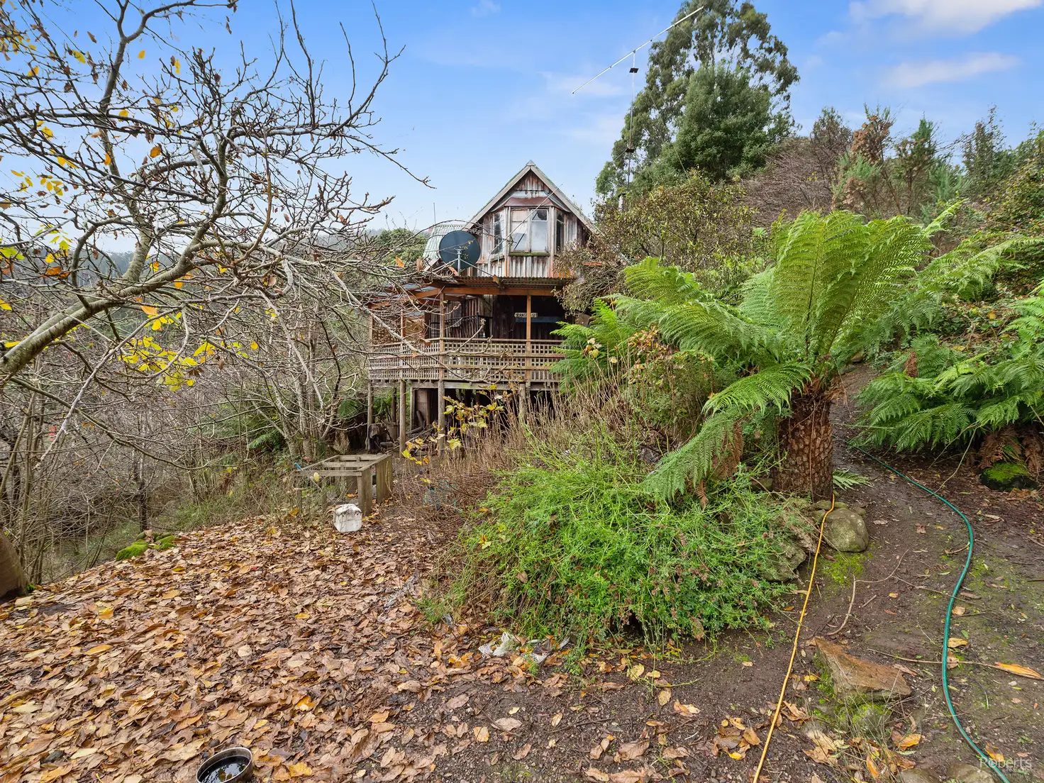 Main view of Homely rural property listing, 154 Wilks Road, Lorinna TAS 7306