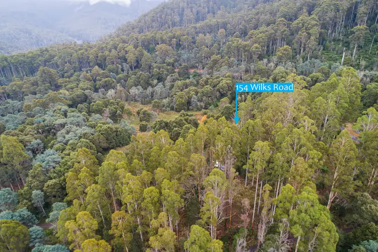 Second view of Homely rural property listing, 154 Wilks Road, Lorinna TAS 7306