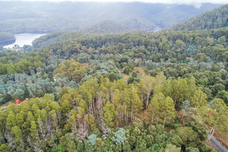 Third view of Homely rural property listing, 154 Wilks Road, Lorinna TAS 7306