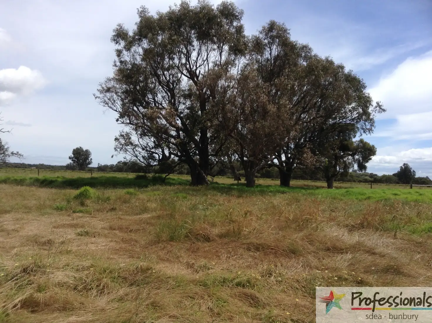 Main view of Homely rural property listing, Lot 433 Summerhill Drive, Dardanup West WA 6236