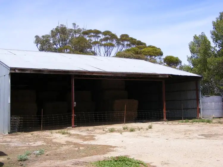 Fifth view of Homely rural property listing, 164 Bell's Road, Aubrey via, Horsham VIC 3400