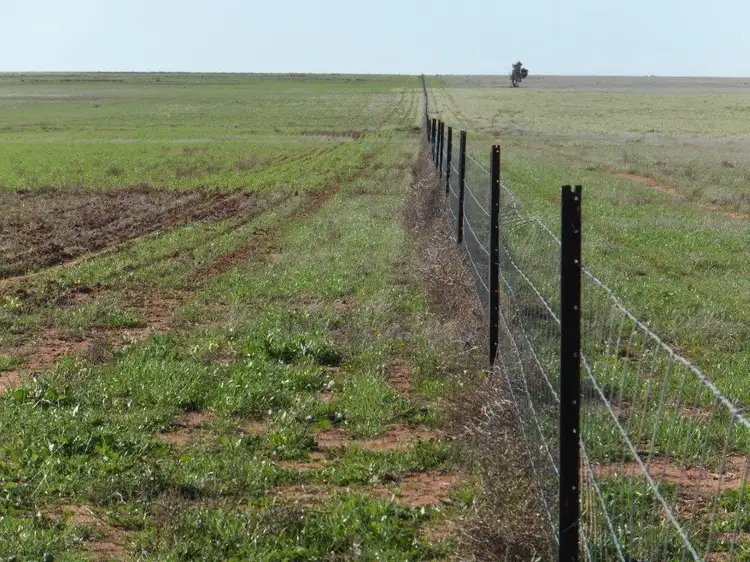 Second view of Homely rural property listing, Lot 1 Pollard, Wongan Hills WA 6603