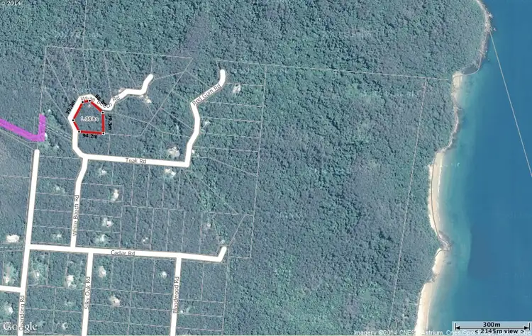 Second view of Homely land listing, 233 White Beech Rd, Daintree QLD 4873