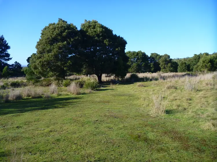 Second view of Homely land listing, 195 Deviot Road, Robigana TAS 7275
