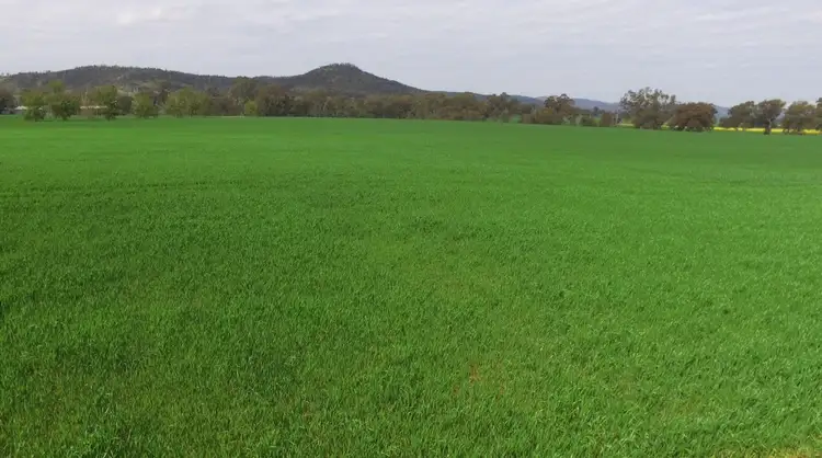 Fifth view of Homely rural property listing, 1586 Glenrowan Boweya Road, Taminick VIC 3675