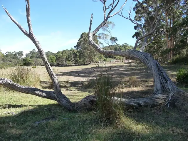 Seventh view of Homely rural property listing, 27 Harlequin St, Denmark WA 6333