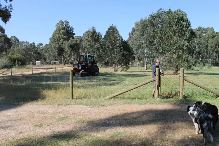 Seventh view of Homely house listing, 91 Greens Lane, Moonambel VIC 3478