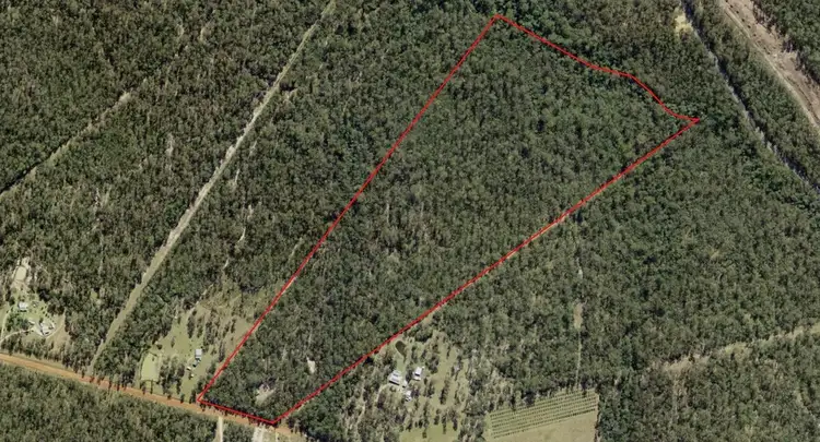 Third view of Homely rural property listing, 575 Dinjerra Road, Glenugie NSW 2460