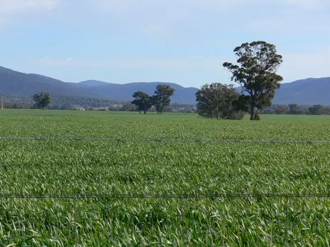 Main view of Homely rural property listing, Kangarooby (Gooloogong), Cowra NSW 2794