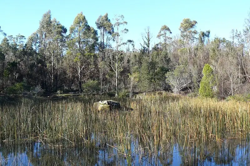 Main view of Homely land listing, Lot 1 Arthur Highway, Murdunna TAS 7178