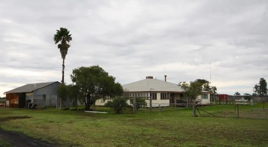 Main view of Homely rural property listing, 293 Kiandool Lane, Bohena Creek NSW 2390