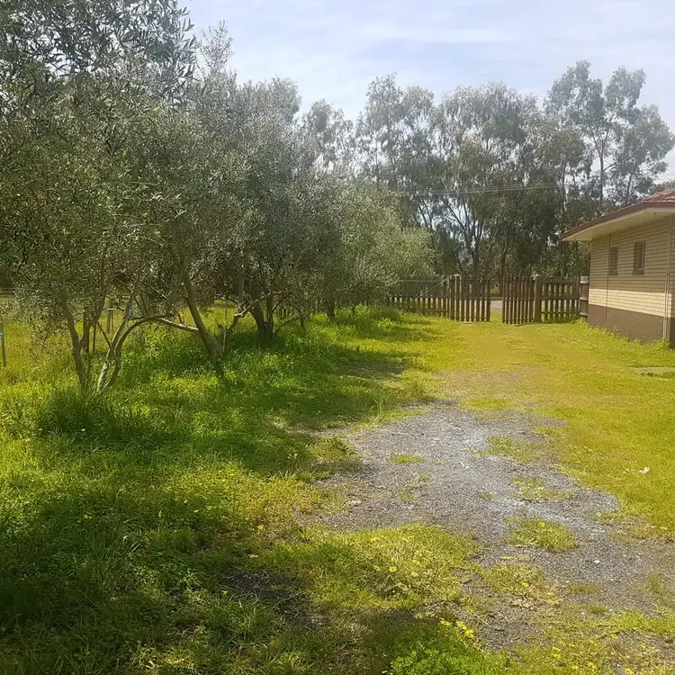 Fifth view of Homely house listing, 53 Lefroy Avenue, Herne Hill WA 6056