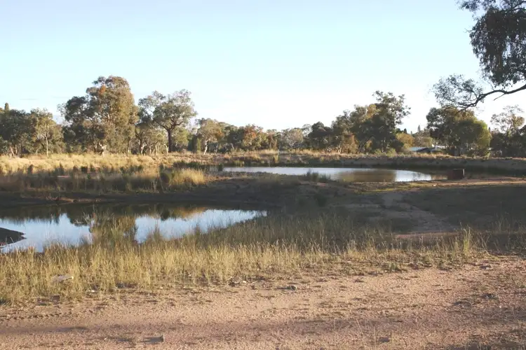 Fifth view of Homely rural property listing, 98 Pine Close, Mudgee NSW 2850