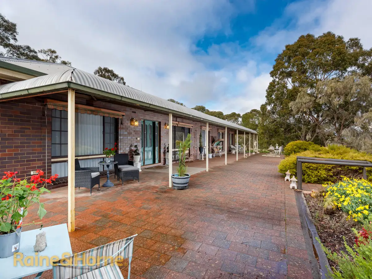 Main view of Homely house listing, 4294 Olympic Highway, The Rock NSW 2655