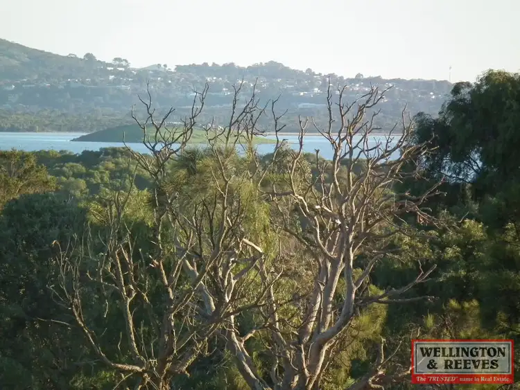Second view of Homely land listing, 160 Walford Road, Kalgan WA 6330
