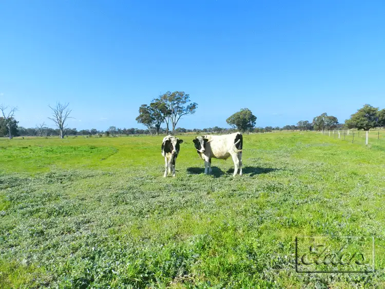 Second view of Homely house listing, 64 Lomas Road, Goornong VIC 3557