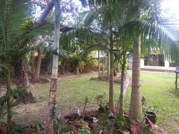Fifth view of Homely house listing, 82 Russell St, Edge Hill QLD 4870