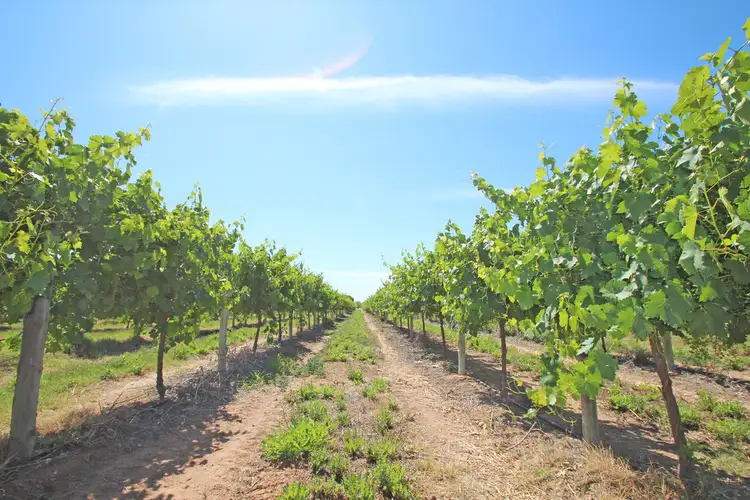 Third view of Homely land listing, Lot 2 Kulkyne, Renmark SA 5341