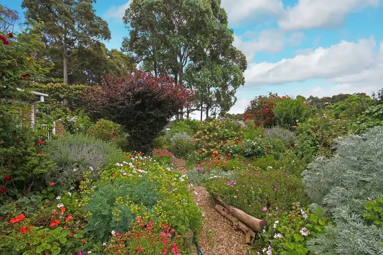 Sixth view of Homely house listing, 10 Thomas Mitchell Crescent, Sunshine Bay NSW 2536