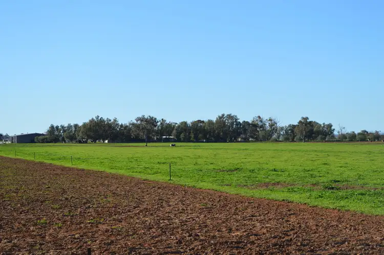 Sixth view of Homely rural property listing, 43 Harvey Road, Two Wells SA 5501