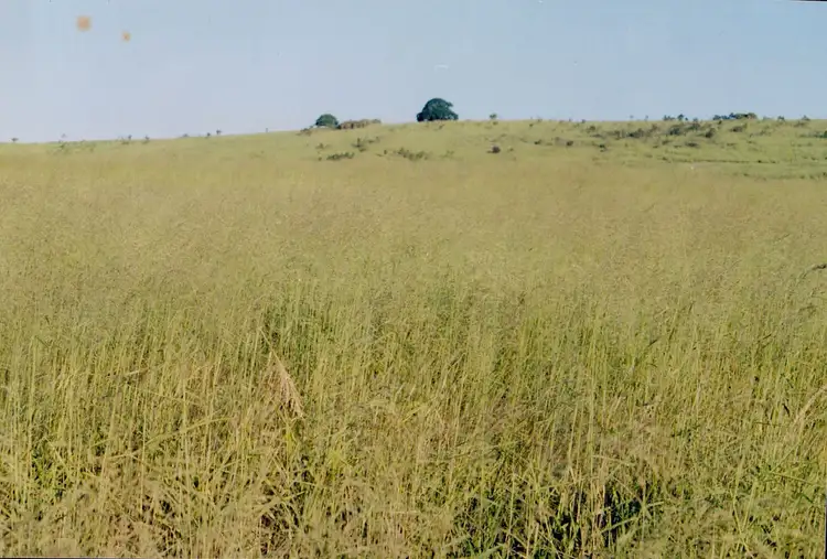 Fourth view of Homely rural property listing, " Mount Bismarck ", Maclagan QLD 4352