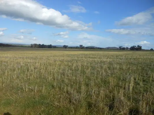 Third view of Homely rural property listing, Lot 2 360 Robinsons, Young NSW 2594