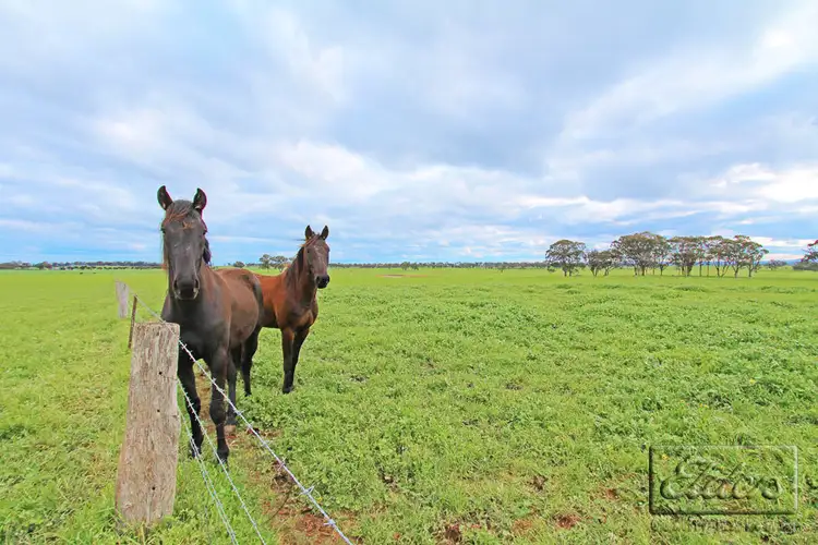 Fifth view of Homely rural property listing, Lot 4A Stoneleigh Road, Marong VIC 3515