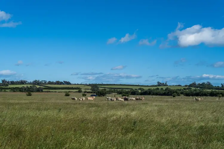 Main view of Homely land listing, Lot 2 Catherine Street, Longford TAS 7301