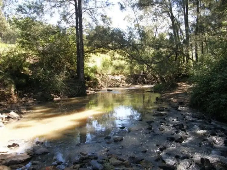 Fifth view of Homely rural property listing, Lots 195 & 178 Smiths Creek Road, Copmanhurst NSW 2460