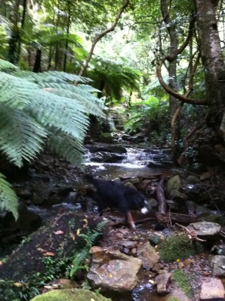 Sixth view of Homely land listing, 946 Jamberoo Mountain Road, Jamberoo NSW 2533