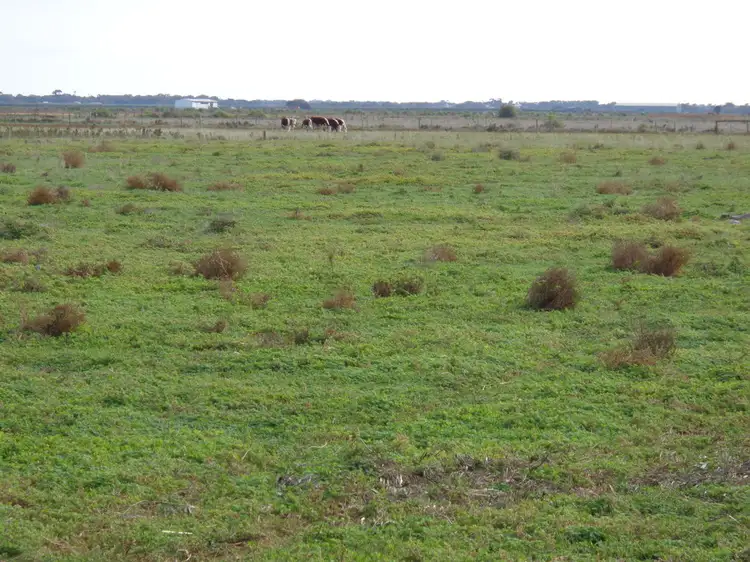 Third view of Homely land listing, 390 Port Gawler Road, Two Wells SA 5501