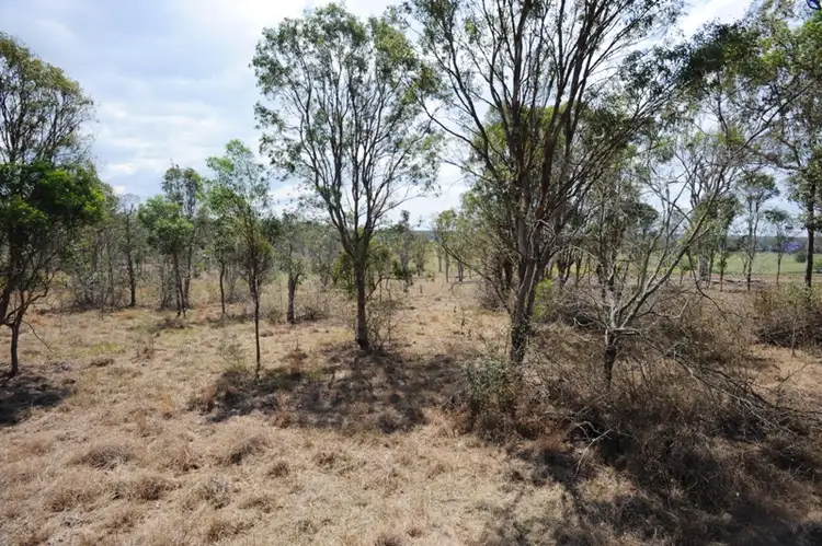 Seventh view of Homely rural property listing, 124 Solitude Lane, Seelands NSW 2460