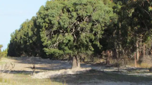 Second view of Homely rural property listing, Address available on request