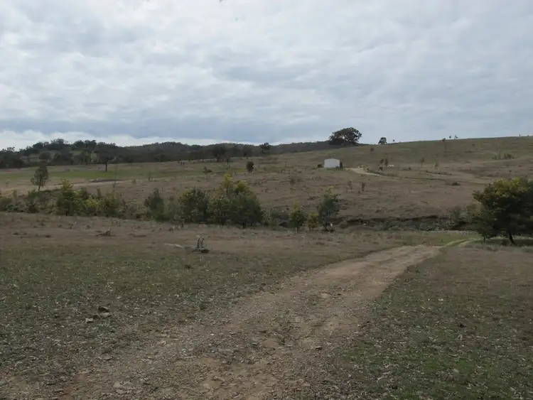 Sixth view of Homely rural property listing, 595 Pyramul Road, Mudgee NSW 2850