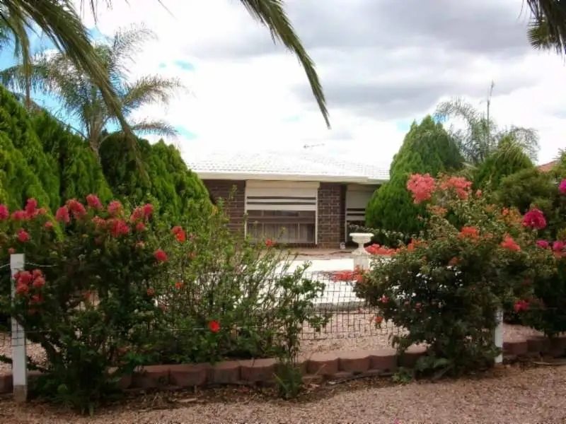 Main view of Homely house listing, 19 Mcconnal Road, Stirling North SA 5710